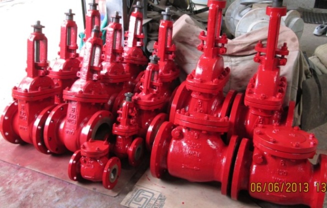 Fire Fighting CI CS Rising Stem Gate Valve Flanged End Hand Wheel Operated Manufacturer Exporter in India