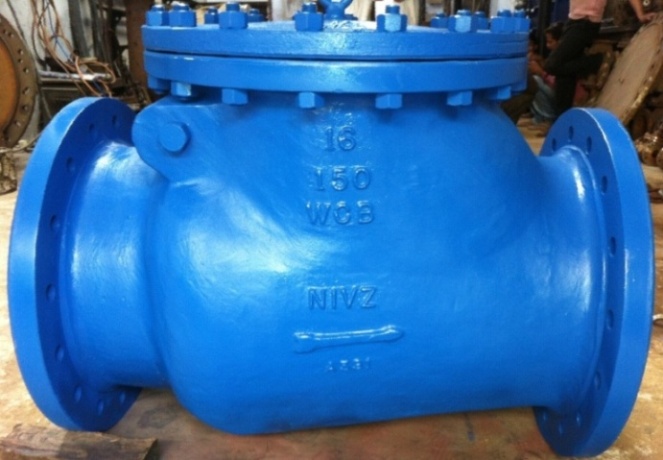Swing Type Check Valve Manufacturer India