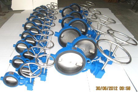 Rubberlined Gear Operated Butterfly Valve Manufacturer Exporter in India